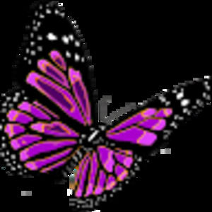 Meet your Posher, Betty